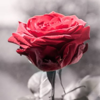 Solveig Marit Lundsbakken