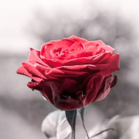 Edgar Storm Nordstad